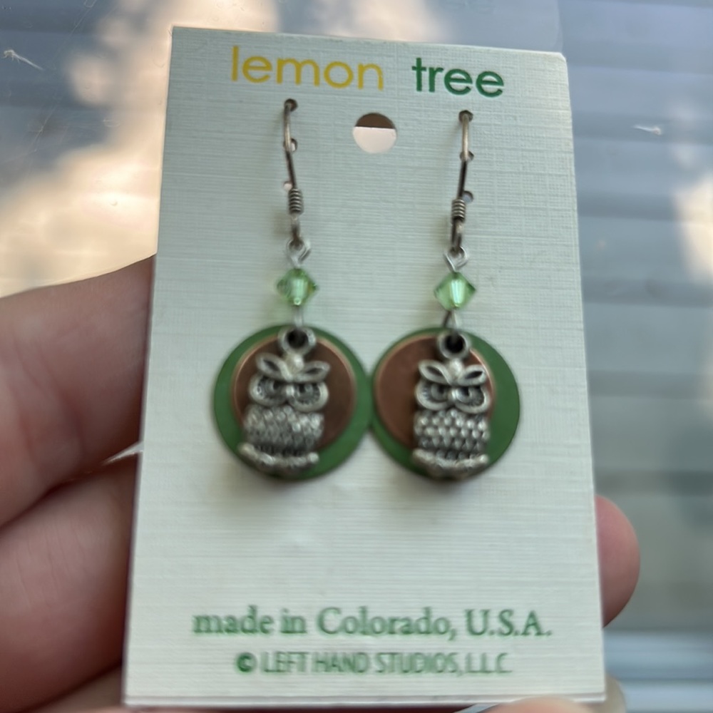 Owl Earrings: excellent condition never worn